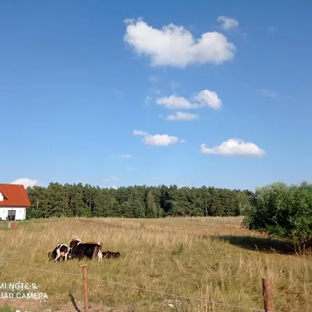 Dom Na Mazurach Dluzec * Comuna de Piecki